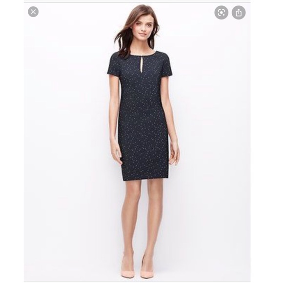 Ann Taylor Dresses & Skirts - Like New Ann Taylor Petite Jacquard Shift Dress 2P